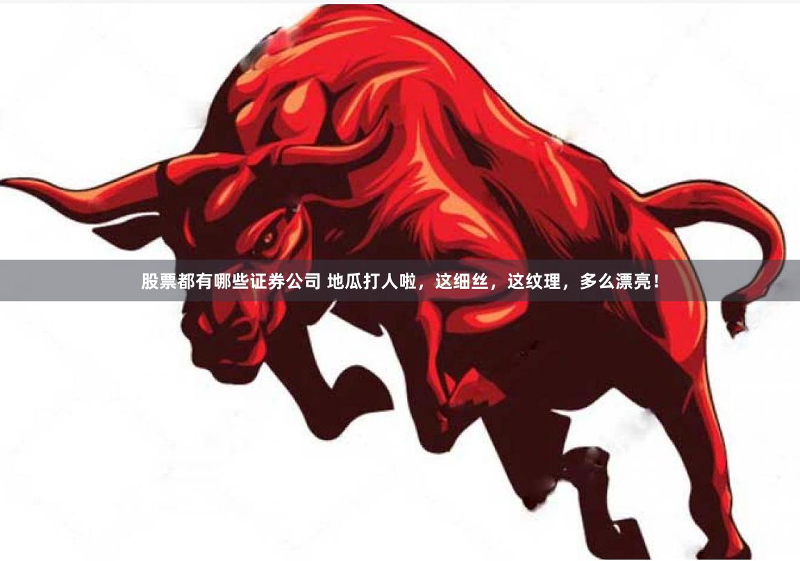 股票都有哪些证券公司 地瓜打人啦，这细丝，这纹理，多么漂亮！