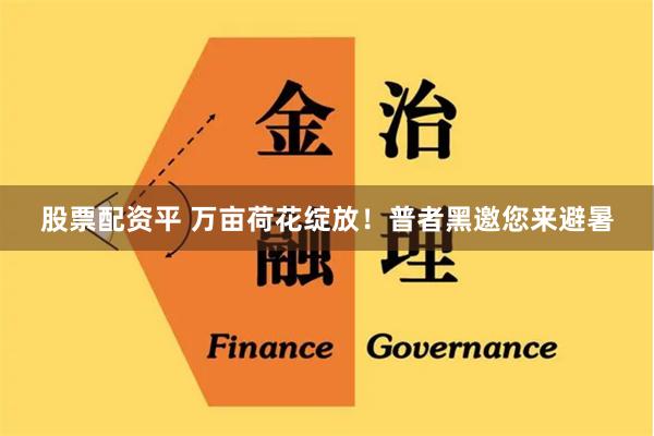 股票配资平 万亩荷花绽放！普者黑邀您来避暑