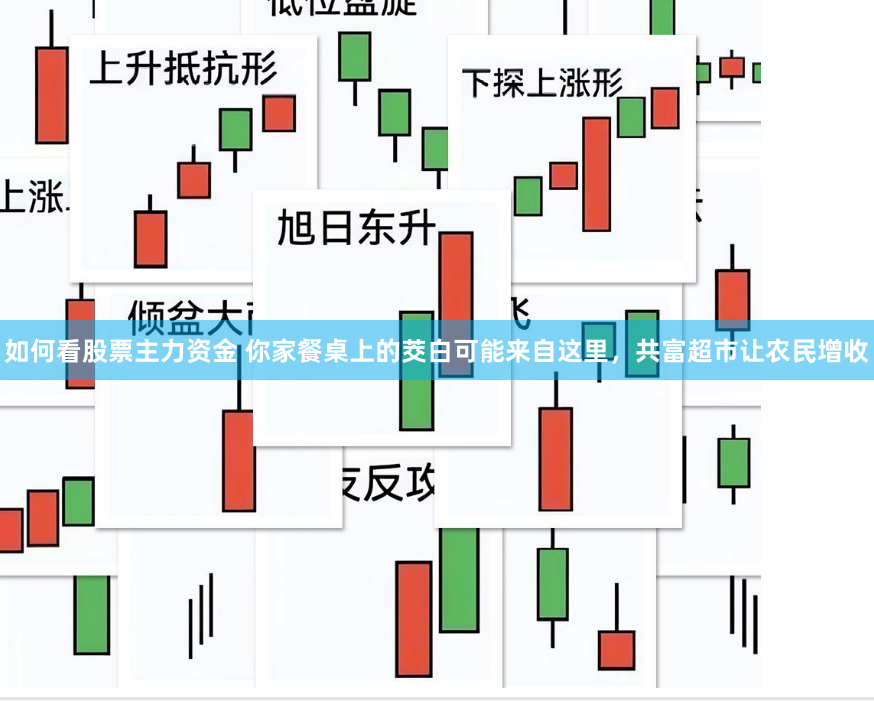 如何看股票主力资金 你家餐桌上的茭白可能来自这里，共富超市让农民增收