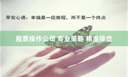 股票操作公司 专业策略 精准操盘