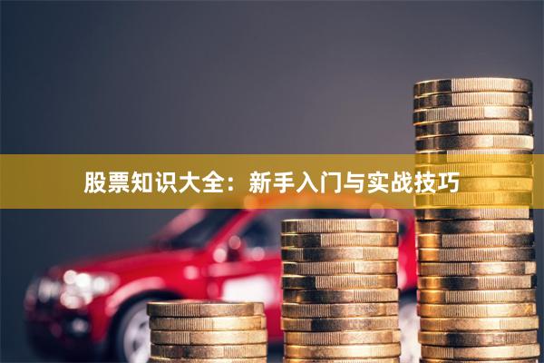 股票知识大全：新手入门与实战技巧